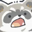 raccoon_what