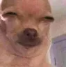 849642557251649546