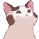 bopbopbop