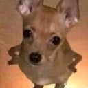 dog Discord emoji