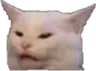 gatowtf