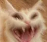 hisssssssssssssss
