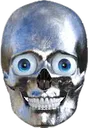skulll