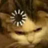 JacqCat