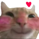 catblush