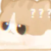 CatConfusedDS