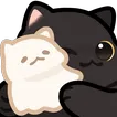 CatHugDS