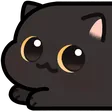 CatLong1