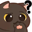 CatThinkingDS