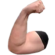 faboBizepsL