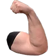 faboBizepsR