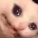 SCWLSDdown SCWLSDdown