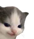 hehe