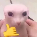 sffff