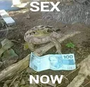 WB_Sexnow WB_Sexnow