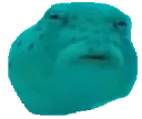 susfish