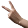 Peace2