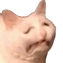 catzsadcat Discord Emoji