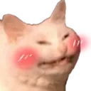 catazyblushu2 Discord Emoji