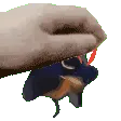 lommingpet2