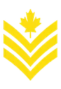 SGTARMY