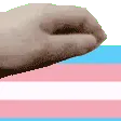 TransPet