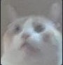HUH Discord emoji