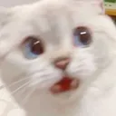ScreamCet