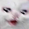 pwease