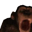 MONKE