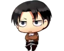 Levi_cute