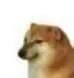 7_