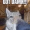 FUCK_GotDamn