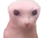 YA_BingBald YA_BingBald