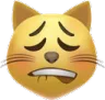 YA_CatLipBite YA_CatLipBite