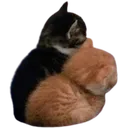catsangi Discord Emoji