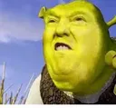 shrok