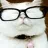 :CC_Cat_Cool: CC_Cat_Cool