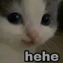 hehe