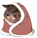 catzsick Discord Emoji