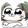 woahnaruhodobonkcat