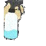 DalSprayL