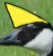 chadgoose