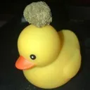 quack