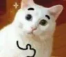 thumbsup_cat