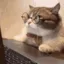 T_catwork