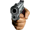 Gun