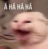 haha haha