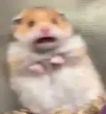 omg