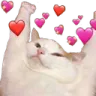 catlove